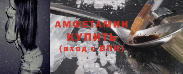 прущие грибы Гусев