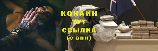ПСИЛОЦИБИНОВЫЕ ГРИБЫ Горнозаводск