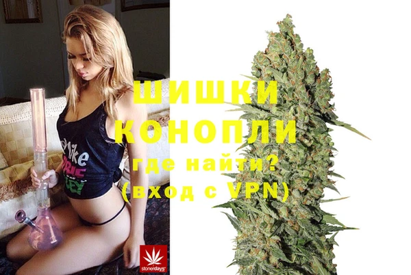 ПСИЛОЦИБИНОВЫЕ ГРИБЫ Горнозаводск
