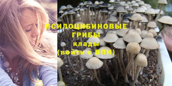 ПСИЛОЦИБИНОВЫЕ ГРИБЫ Горнозаводск