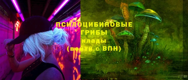 прущий лед Усмань